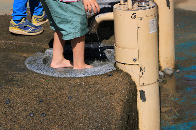 新しい発見に満ちた子どもの聖地！国営昭和記念公園の見どころを徹底レポート