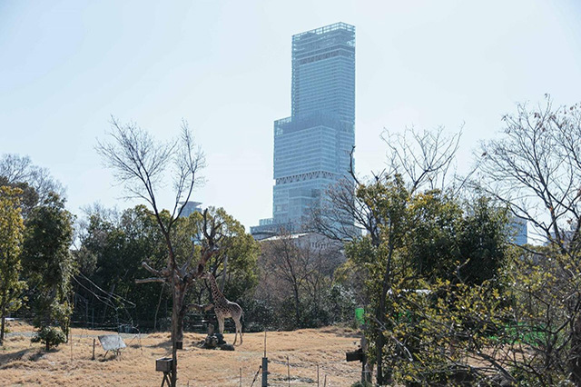 【ここでしか会えない動物たちも！】天王寺動物園でかわいい動物たちに癒される