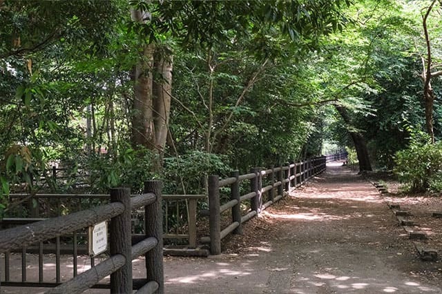 井の頭恩賜公園をぐるり一周散歩！歩いて見つけた注目スポットをご紹介