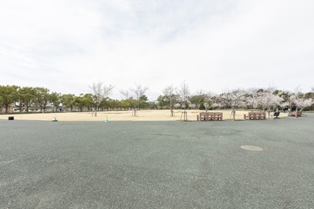 【写真映えスポットもいっぱい】四季折々の花が咲き誇る！浜名湖ガーデンパークを徹底レポート