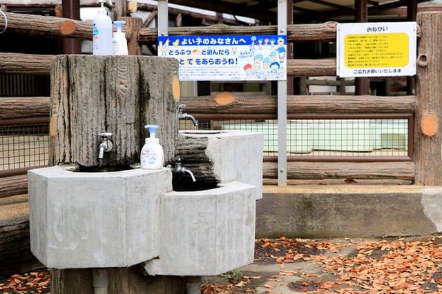 子どもの遊び場の宝庫！こども自然公園の見どころを徹底レポート