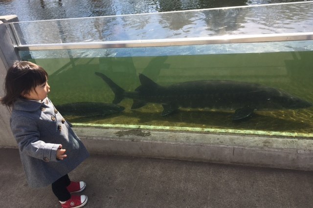 【徹底取材】さいたま水族館の魅力解説！ アクセスから周辺の観光地情報まで