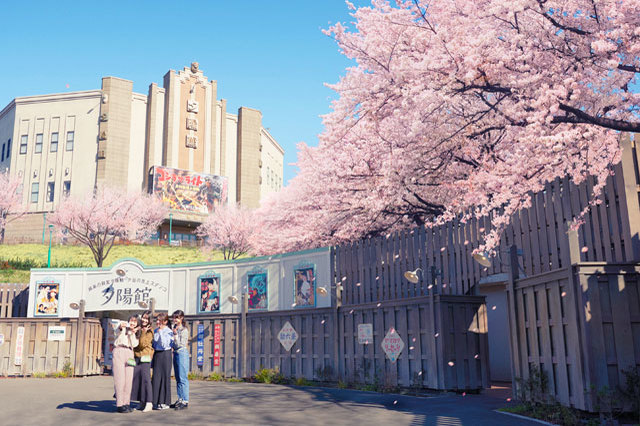 桜景色とアトラクションをとことん満喫！子どもも大満足なお花見は「西武園ゆうえんち」で決まり