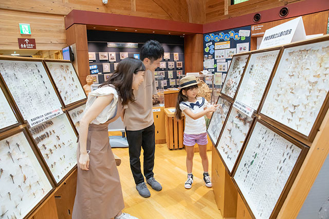 “お伊勢参り”と、自然が織りなす絶景。文化＆食を通して「伊勢志摩国立公園」の魅力を満喫！