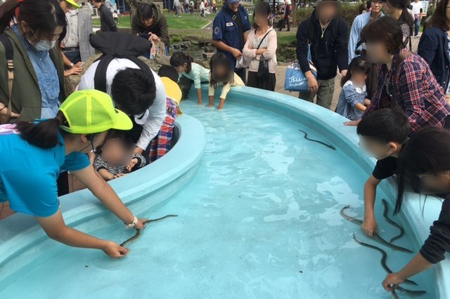 【徹底取材】さいたま水族館の魅力解説！ アクセスから周辺の観光地情報まで