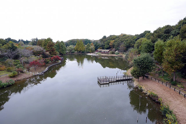 ふなばしアンデルセン公園の人気の秘密とイチ推しスポットを徹底解剖！グルメスポットや人気のお土産もご紹介