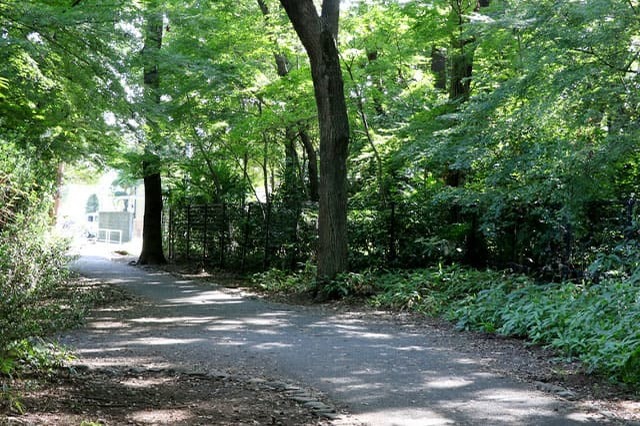 武蔵野の自然が残る石神井公園を散策！石神井池・三宝寺池の周辺見どころを紹介