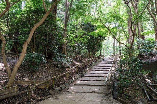 井の頭恩賜公園をぐるり一周散歩！歩いて見つけた注目スポットをご紹介