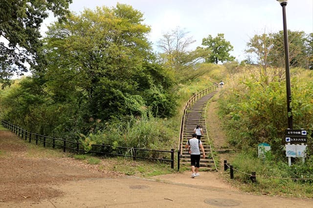 子どもの遊び場の宝庫！こども自然公園の見どころを徹底レポート