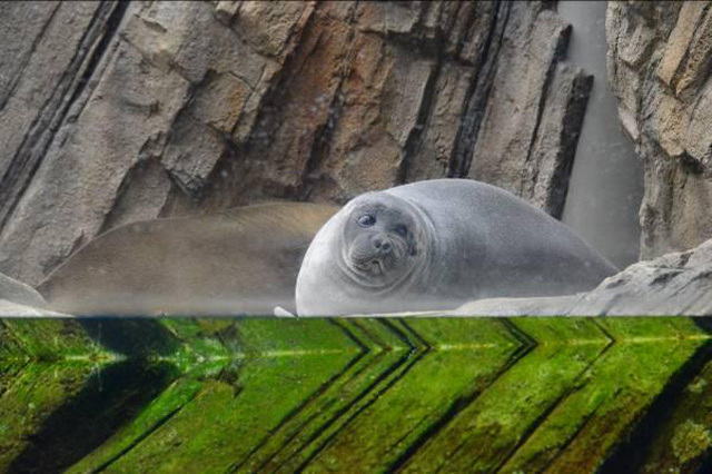 目の前に広がる海の世界は驚きと感動の連続！仙台うみの杜水族館の魅力を徹底レポ