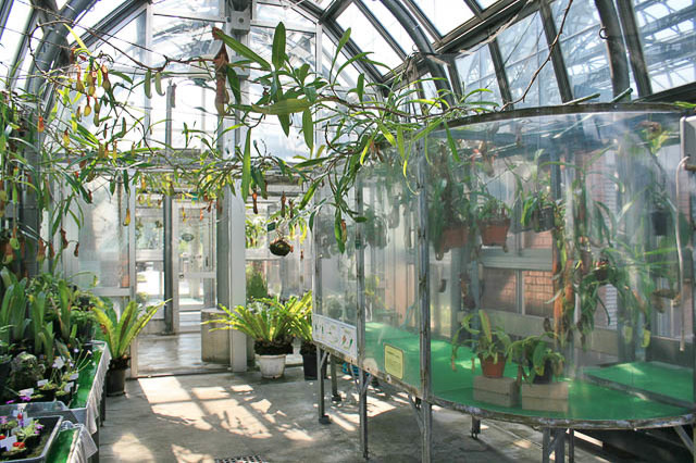 雨でも「そとへのお出かけ気分」を感じられるスポット！都内の温室植物園3選