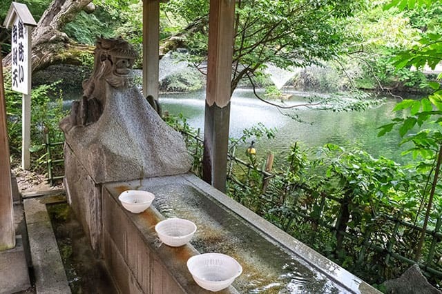 井の頭恩賜公園をぐるり一周散歩！歩いて見つけた注目スポットをご紹介