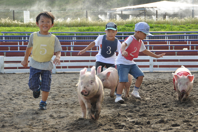 かわいい動物たちとのふれあいがいっぱい！ 一日中思いっきり遊べる「マザー牧場」に行こう