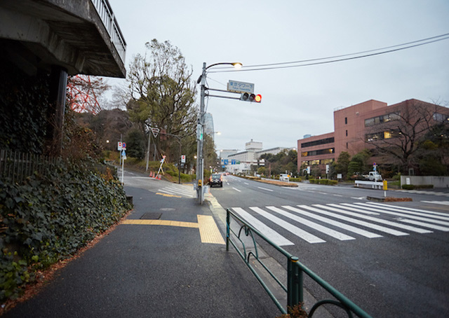 東京タワーを徹底レポート！リニューアル情報から外階段の楽しみ方まで