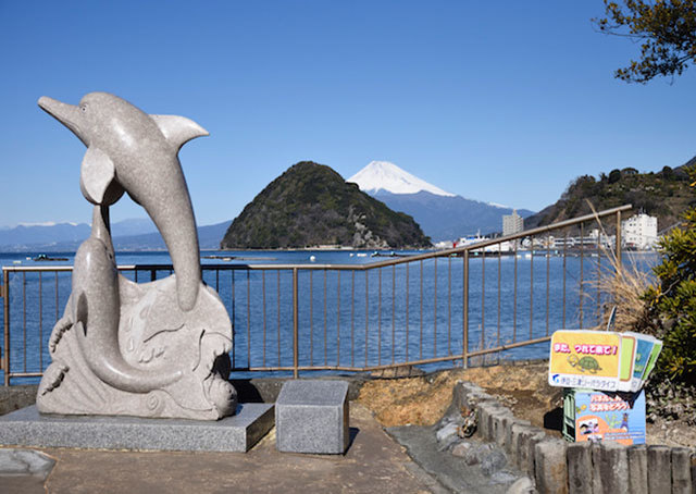 伊豆・三津シーパラダイスでイルカショー＆ふれあい体験を満喫【富士山も間近】