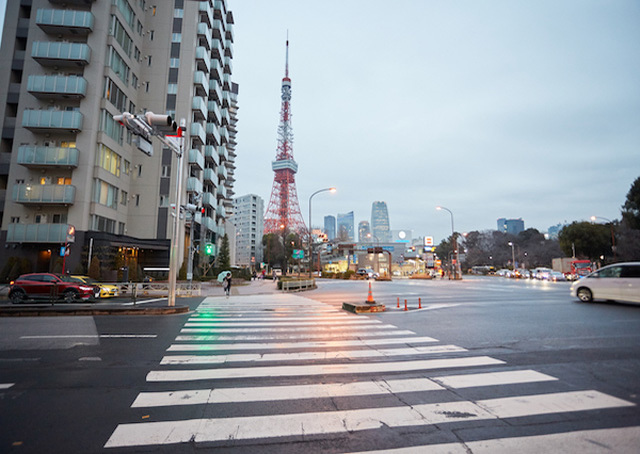 東京タワーを徹底レポート！リニューアル情報から外階段の楽しみ方まで