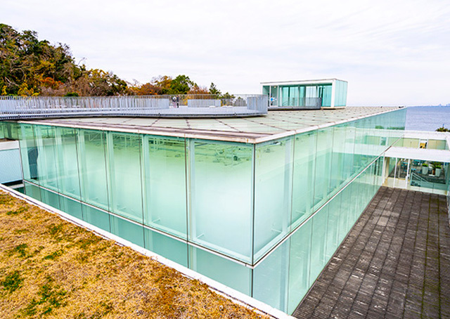 横須賀美術館で建築、絶景、レストランを一挙に満喫