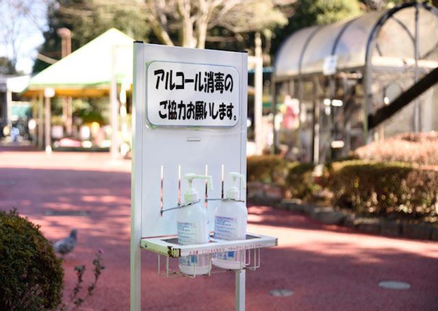 【2021年版】町田リス園 徹底取材！約200匹のリスへのエサやり体験も