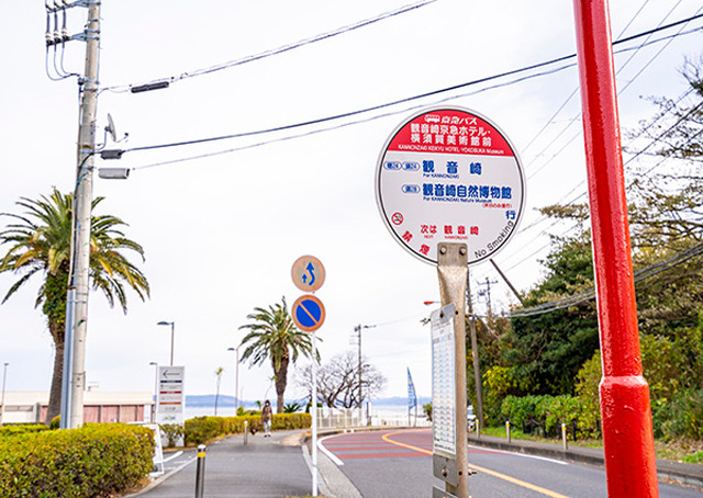 横須賀美術館で建築、絶景、レストランを一挙に満喫