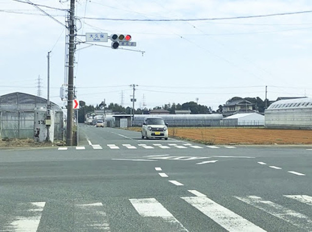 【写真映えスポットもいっぱい】四季折々の花が咲き誇る！浜名湖ガーデンパークを徹底レポート