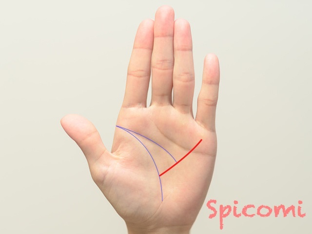 『Spicomi』より引用