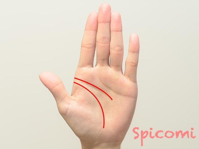 『Spicomi』より引用