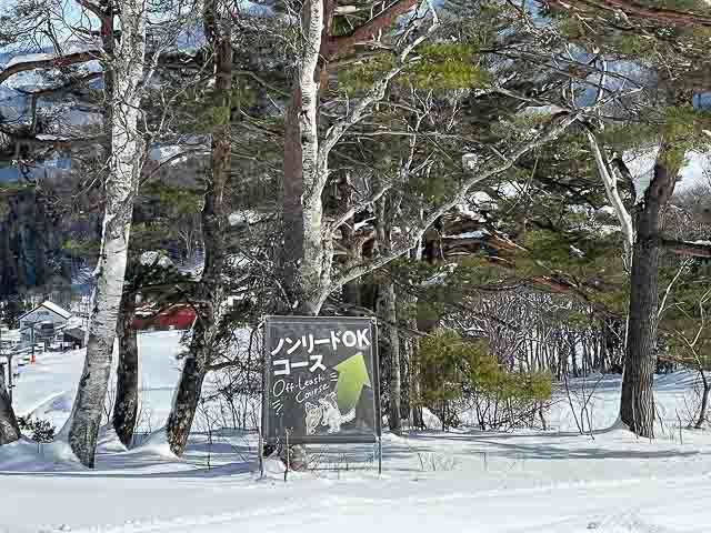 雪にまみれて絆が深まる！ワンちゃんと一緒に遊べるスキー場【極私的おでかけ百景 #15】