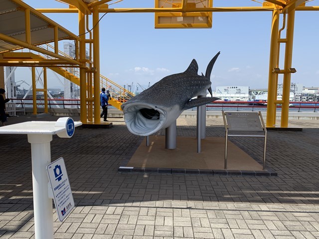 【取材レポ】海遊館へ行ってきた！館内の魅力から遊びに行く前に知っておきたい情報まで