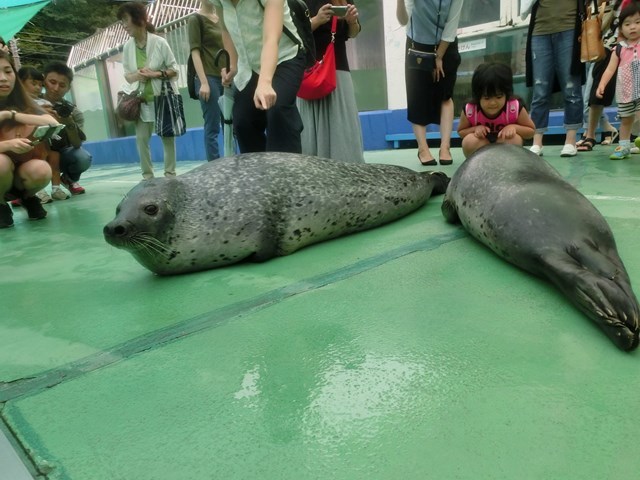 【オススメ3選】三重 水族館を満喫！ペンギンやマンボウのいる人気アクアリウムを紹介！