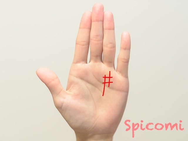 『Spicomi』より引用