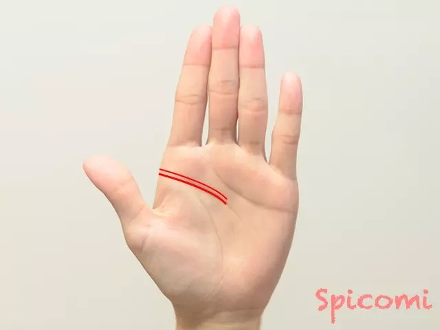 『Spicomi』より引用