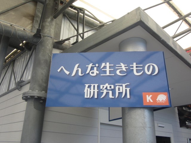 鳥羽水族館の魅力を徹底解剖！ジュゴンやショーから料金、アクセスまでの完全ガイド