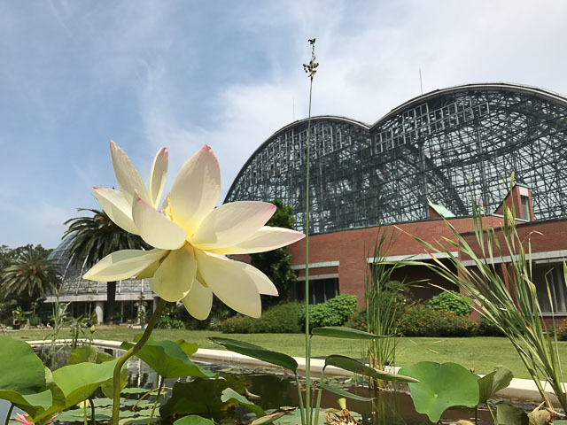 雨でも「そとへのお出かけ気分」を感じられるスポット！都内の温室植物園3選