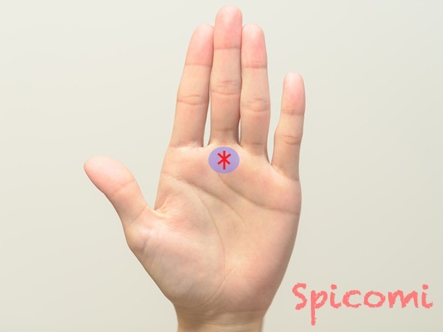 『Spicomi』より引用