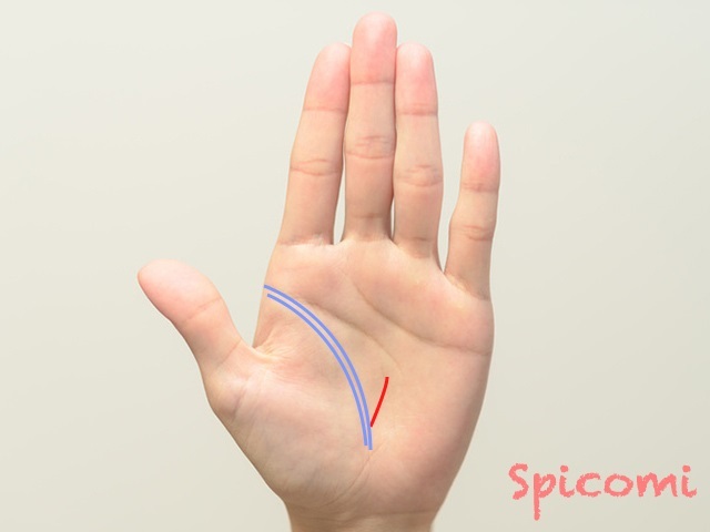 『Spicomi』より引用