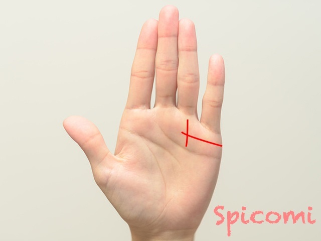 『Spicomi』より引用