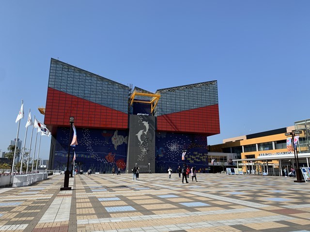 【取材レポ】海遊館へ行ってきた！館内の魅力から遊びに行く前に知っておきたい情報まで