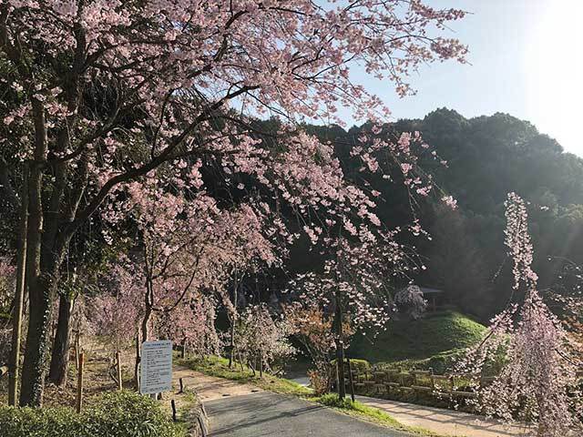 キッズも遊べるミュージアム！九州国立博物館の見どころを徹底レポート