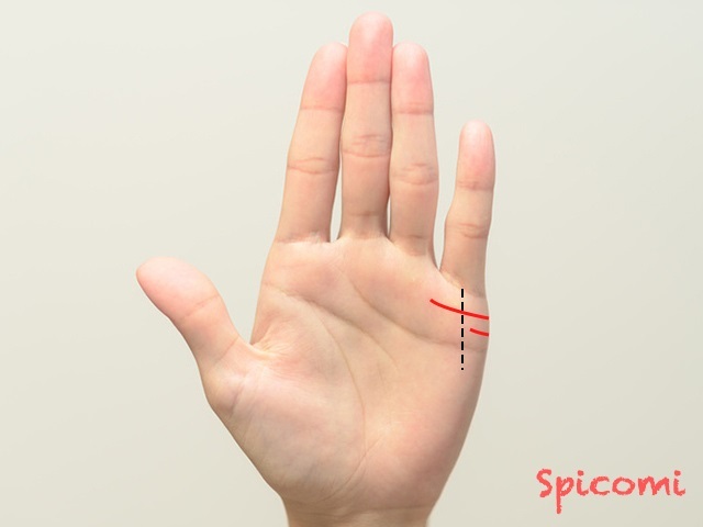 『Spicomi』より引用