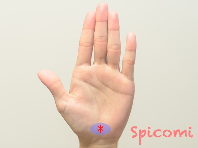 『Spicomi』より引用