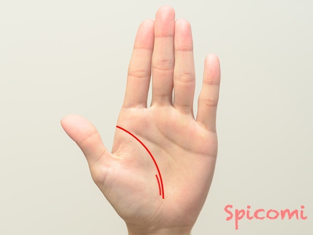 『Spicomi』より引用