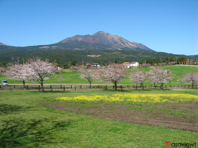 宮崎観光のおすすめスポット36選！青島やモアイなど宮崎の人気観光名所へ出かけよう