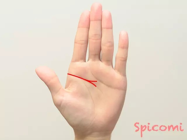 『Spicomi』より引用