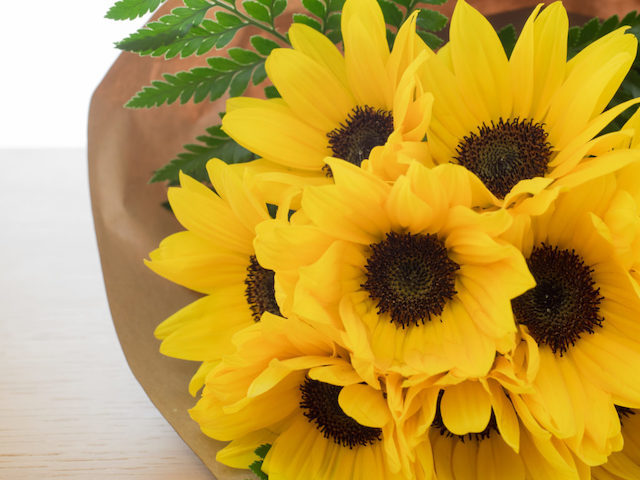 父の日にお花をプレゼント。お父さんに贈る人気・定番のお花の種類と花言葉をご紹介