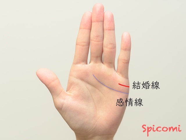 『Spicomi』より引用