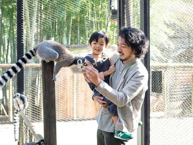 朝食をキリンと一緒に!?“動物園ステイ”という初めての体験が叶うグランピング施設いかが？