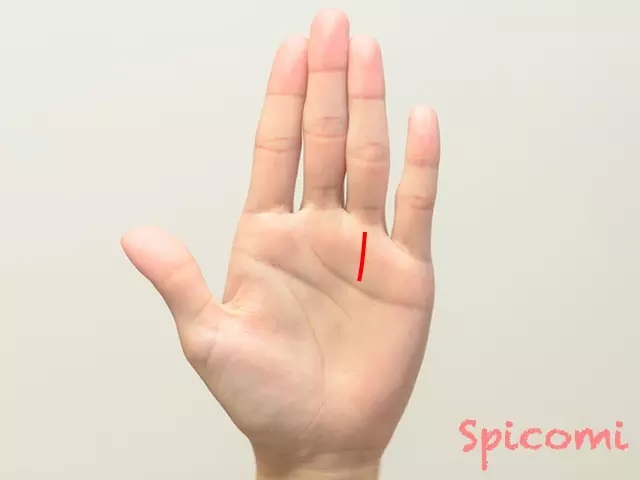 『Spicomi』より引用