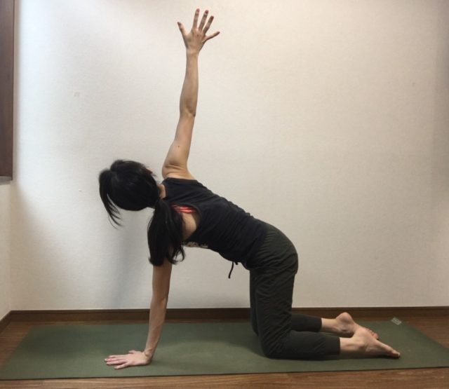 『yoganess』より引用