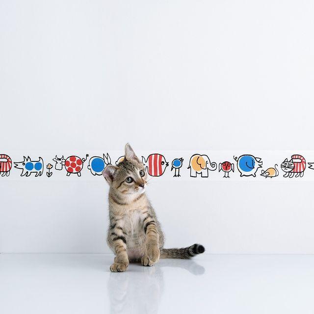 【ダイソー】人気の「mt」リメイクシートが再販!おしゃれな新デザインもあるよ~。
