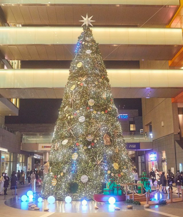 ショッピングモールが光の川に！巨大クリスマスツリー＆光のスケート場が出現する「二子玉川ライズ」で駅近ホリデーを楽しもう【東京】